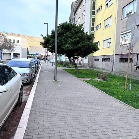 Rose, Centar Daire Zadar