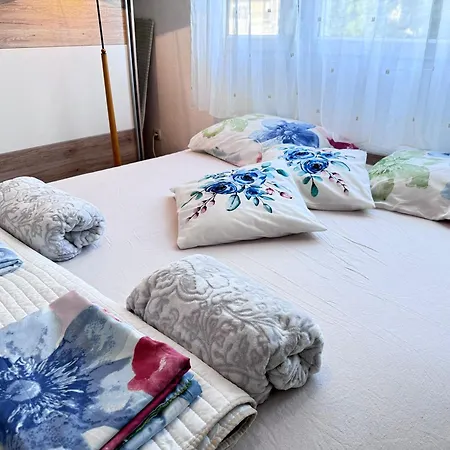 Rose, Centar Daire Zadar