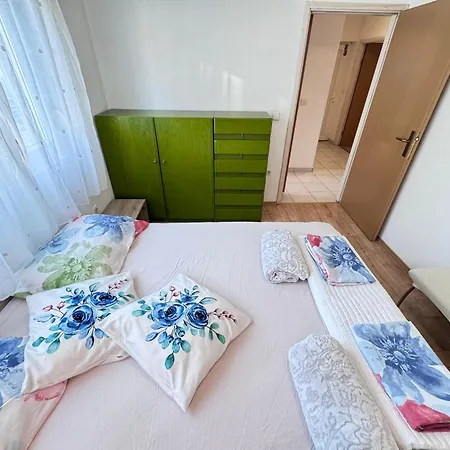 Rose, Centar Daire Zadar